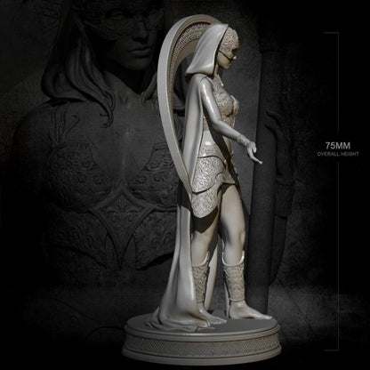 18+ Collector's 3D Printed Model: 75mm 1/24 Resin figure model kits DIY self-assembled.